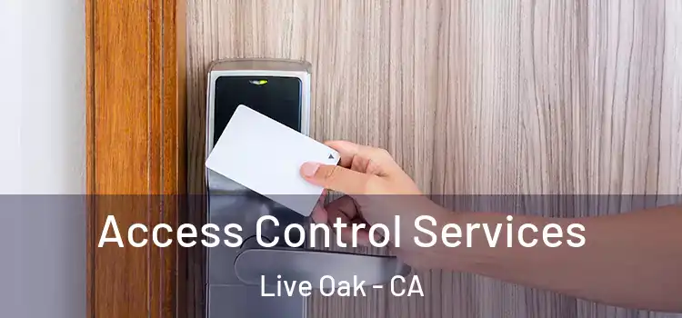 Access Control Services Live Oak - CA