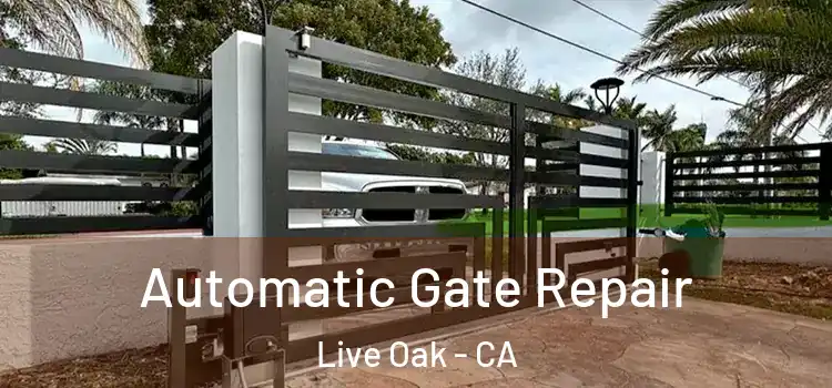 Automatic Gate Repair Live Oak - CA