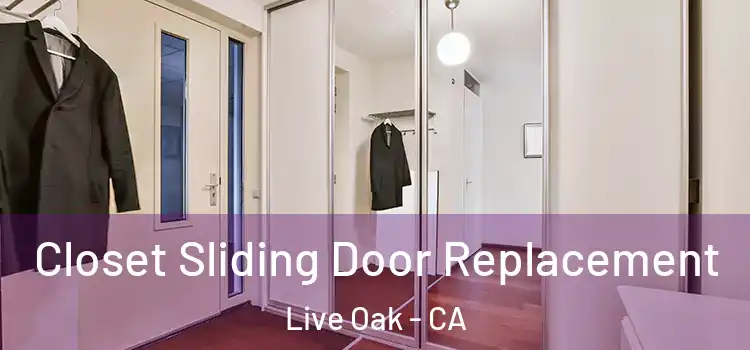 Closet Sliding Door Replacement Live Oak - CA