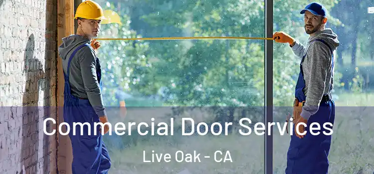 Commercial Door Services Live Oak - CA