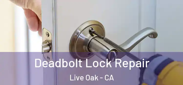 Deadbolt Lock Repair Live Oak - CA
