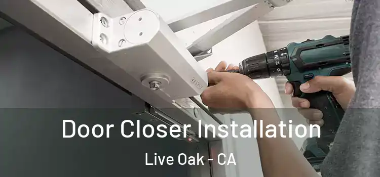 Door Closer Installation Live Oak - CA
