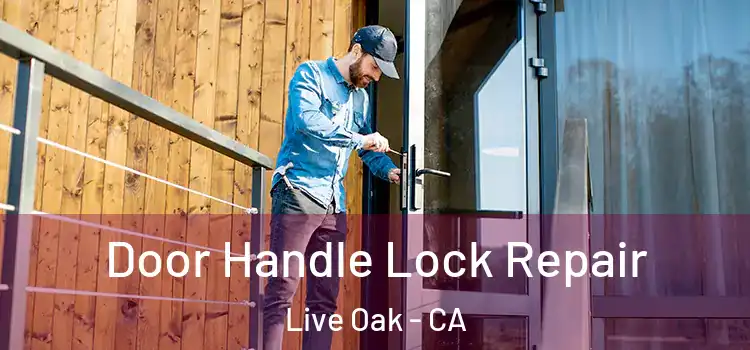 Door Handle Lock Repair Live Oak - CA