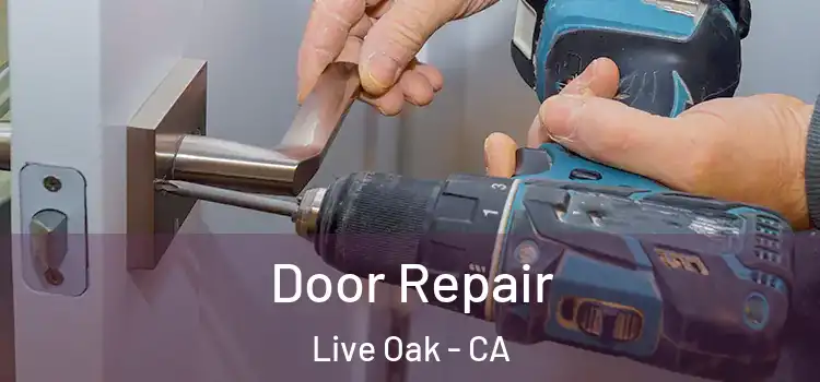 Door Repair Live Oak - CA