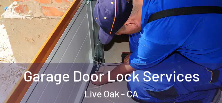 Garage Door Lock Services Live Oak - CA