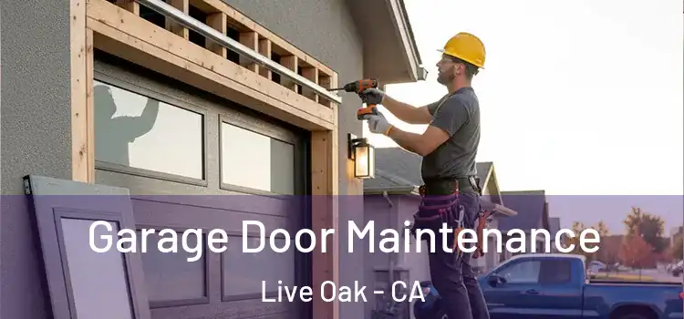 Garage Door Maintenance Live Oak - CA