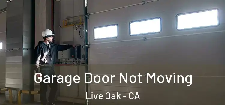 Garage Door Not Moving Live Oak - CA