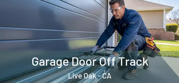  Garage Door Off Track Live Oak - CA