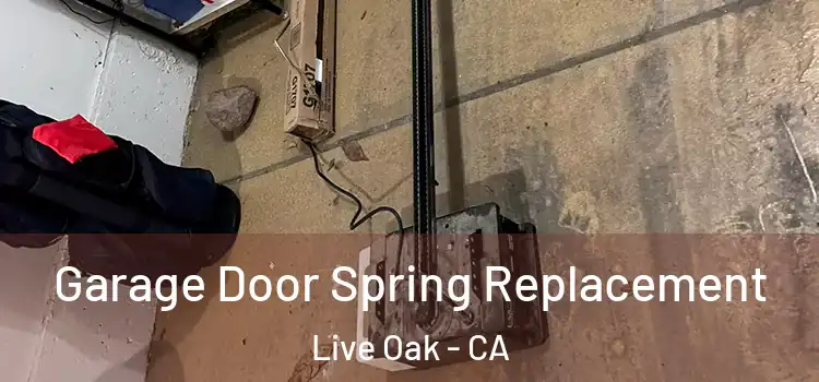  Garage Door Spring Replacement Live Oak - CA