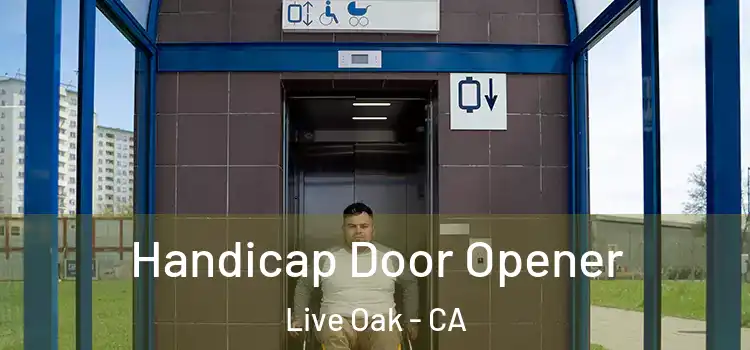 Handicap Door Opener Live Oak - CA