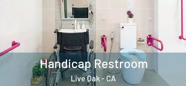 Handicap Restroom Live Oak - CA