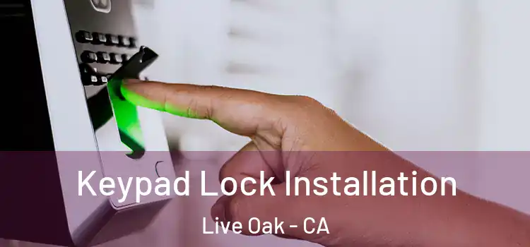 Keypad Lock Installation Live Oak - CA