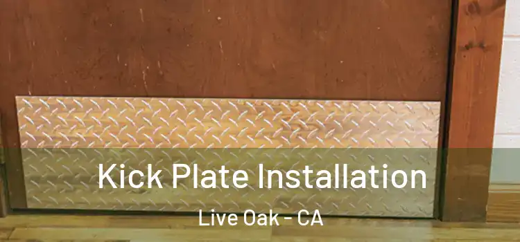 Kick Plate Installation Live Oak - CA