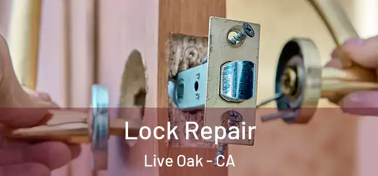 Lock Repair Live Oak - CA
