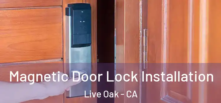  Magnetic Door Lock Installation Live Oak - CA