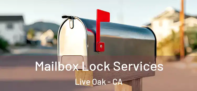 Mailbox Lock Services Live Oak - CA