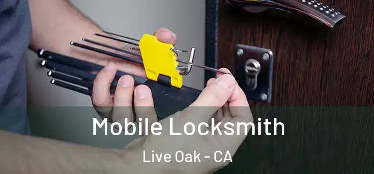 Mobile Locksmith Live Oak - CA