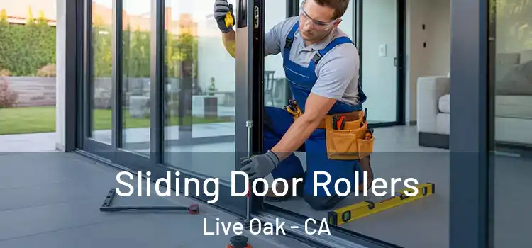 Sliding Door Rollers Live Oak - CA