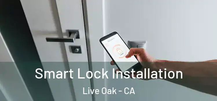  Smart Lock Installation Live Oak - CA